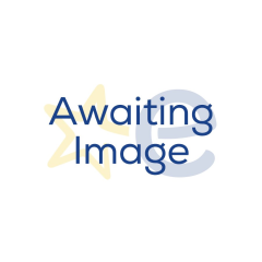 Dyson V8ABS-2023 Cordless Stick Vacuum Cleaner - 40 Minutes Run Time - Silver/Yellow